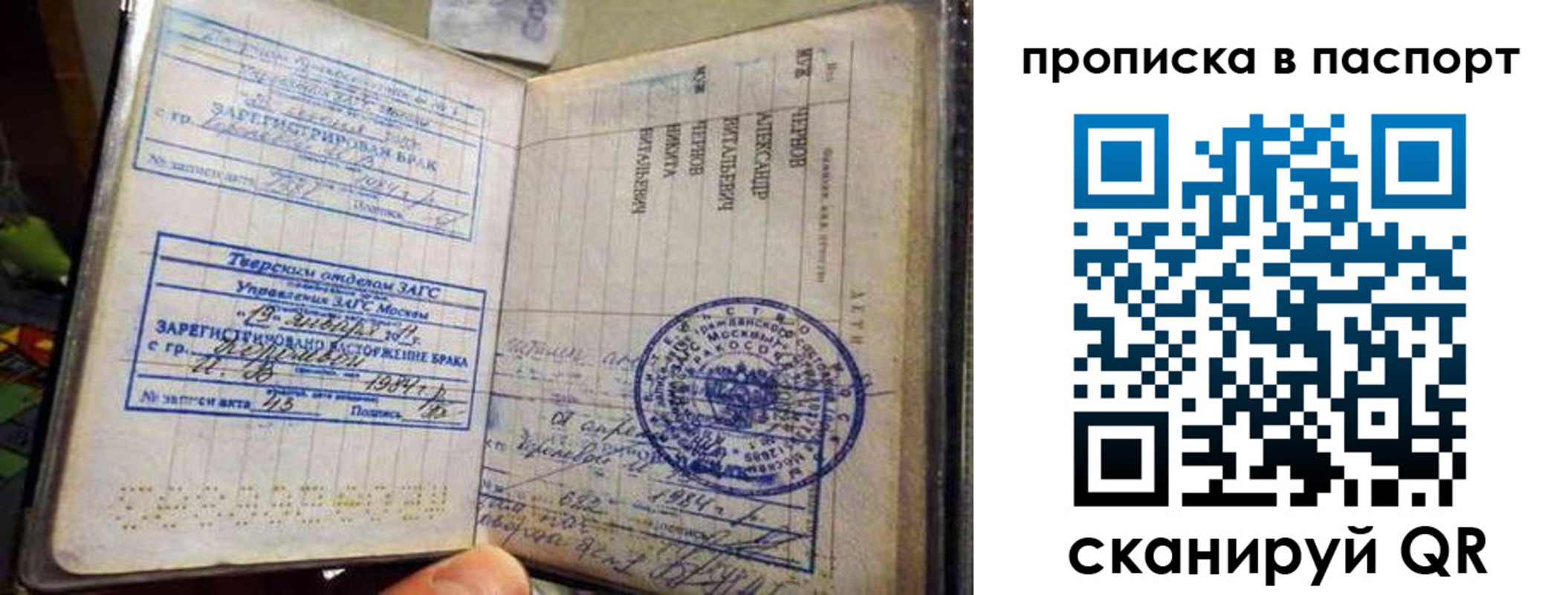 прописка поиск в Владимирской области